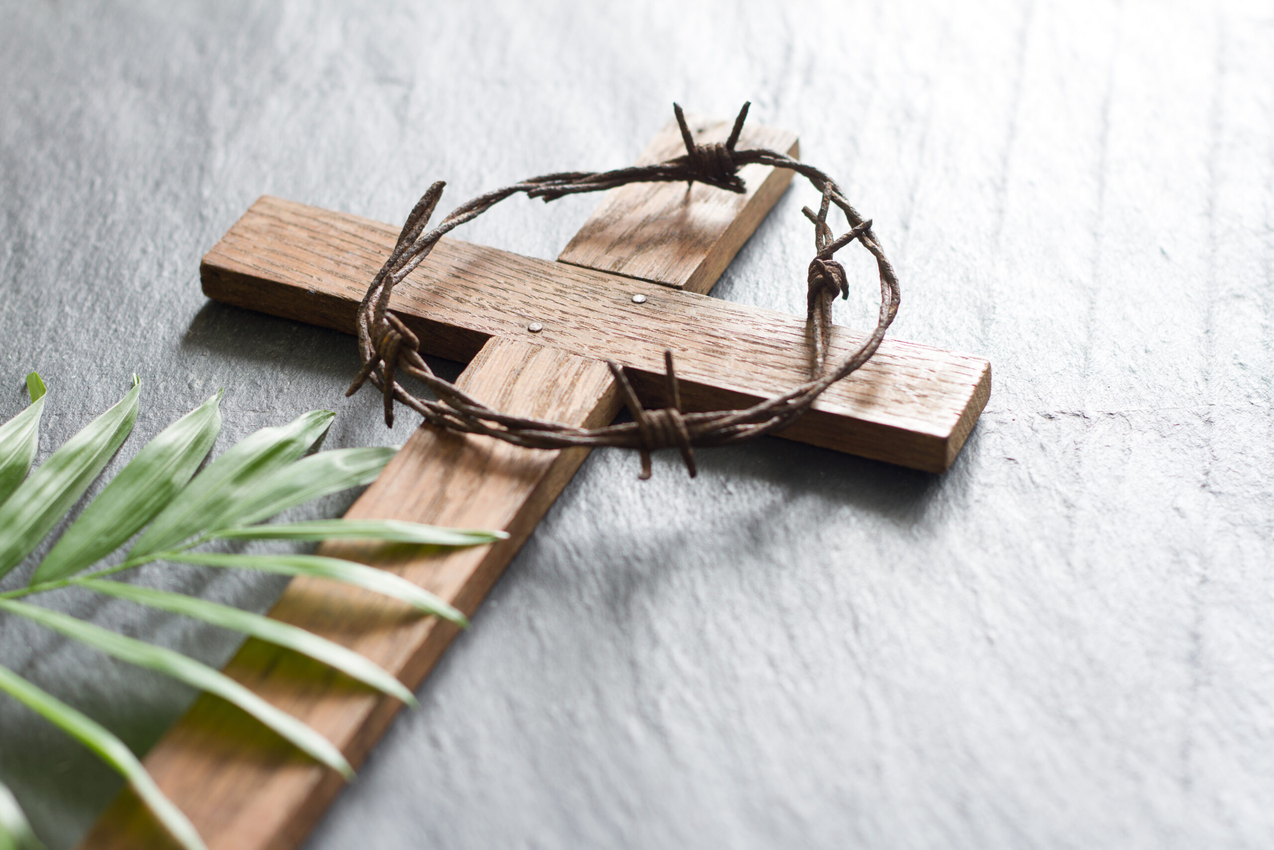 Dornenkrone und Palmzweig liegen auf einem Kreuz