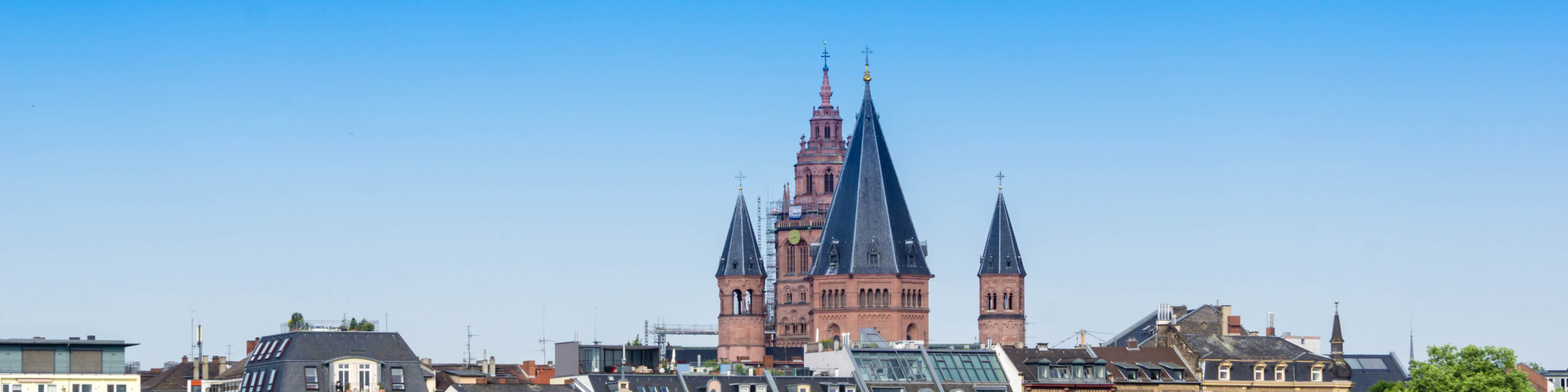 Blick auf Mainz und die Kathedrale